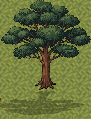 Mahogany tree sprite in the world